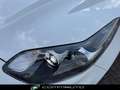 Kia Sportage 1.6 CRDI 136 CV DCT7 2WD Mild Hybrid Business Clas Bianco - thumbnail 8