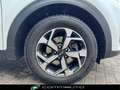Kia Sportage 1.6 CRDI 136 CV DCT7 2WD Mild Hybrid Business Clas Bianco - thumbnail 4