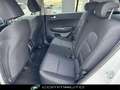 Kia Sportage 1.6 CRDI 136 CV DCT7 2WD Mild Hybrid Business Clas Bianco - thumbnail 15