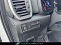 Kia Sportage 1.6 CRDI 136 CV DCT7 2WD Mild Hybrid Business Clas Bianco - thumbnail 12