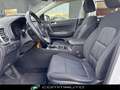 Kia Sportage 1.6 CRDI 136 CV DCT7 2WD Mild Hybrid Business Clas Bianco - thumbnail 11