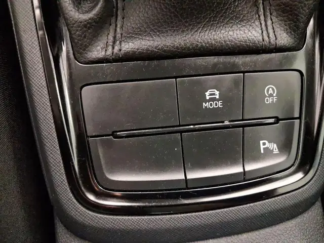 Skoda Scala view 10