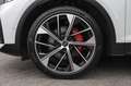 Audi Q5 50 TFSI e Hybrid I Luchtvering I Pano I Carbon ext Wit - thumbnail 19