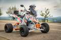 E.-ATV 690 Rally Replica Alb - thumbnail 3