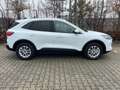 Ford Kuga Titanium Navi+Kamera+Winterpaket+Klima Blanc - thumbnail 4