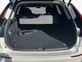 Volvo XC60 XC60 B5 B AWD Core Weiß - thumbnail 5