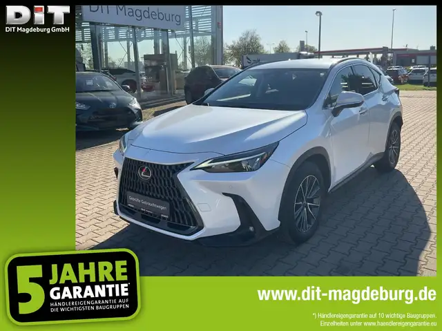 Lexus NX 450h+ Business Line ACC+LED+SHZ+360+4xSHZ+LM