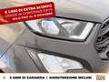 Ford EcoSport 1.0 ecoboost st-line s&s 125cv my20.25 Grigio - thumbnail 14