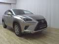 Lexus NX 300 h Leder Navi LED RFK PDC Sh - thumbnail 3