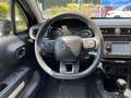 Citroen C3 BlueHDi 100 S&S Business Combi AUTOCARRO n1 Grigio - thumbnail 14