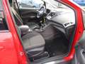 Ford Grand C-Max Grand C-MAX C&C, Navi, WinterP. Rot - thumbnail 16