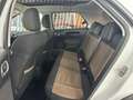 Citroen C4 Cactus 1.6 BlueHDi S&S Shine Ed. ETG6 100 Blanco - thumbnail 9