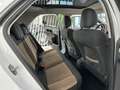 Citroen C4 Cactus 1.6 BlueHDi S&S Shine Ed. ETG6 100 Blanco - thumbnail 13