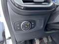 Ford Puma 1.0 Eco 125pk Hybrid ST-Line Navi, PDC, Winter pac Wit - thumbnail 11