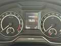 Skoda Octavia 2.0 TDI DSG Wagon RS TETTO APRIBILE Grigio - thumbnail 15