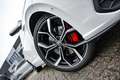 Volkswagen Polo GTI 2.0 TSI |panorama dak | acc | adaptief onderstel | - thumbnail 40