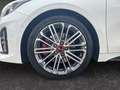Kia ProCeed / pro_cee'd 1.6T GT NAV GD KOMF El. Panodach Navi Leder Digita Weiß - thumbnail 14