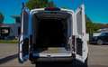 Ford Transit L2H2 350 netto 16.650.- NAVI PDC EXTRAS Weiß - thumbnail 10