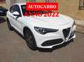 Alfa Romeo Stelvio 2.2 160cv AT8 RWD AUTOCARRO N1 Anno 2022 Bianco - thumbnail 1