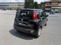 Fiat Panda 1.0 Firefly Hybrid 70CV 5p. + Pack City Nero - thumbnail 3