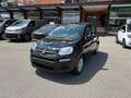 Fiat Panda 1.0 Firefly Hybrid 70CV 5p. + Pack City Nero - thumbnail 1