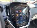 Subaru Crosstrek 2,0i e-Boxer HEV CVT Style Xtra Allrad Aut. Brun - thumbnail 18