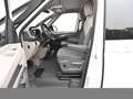 Volkswagen T7 Multivan T7 Multivan 2.0 TDI DSG Edition LM19 LED AHK Weiß - thumbnail 13