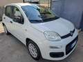 Fiat Panda Panda 1.2 Easy 69cv E6 Bianco - thumbnail 2