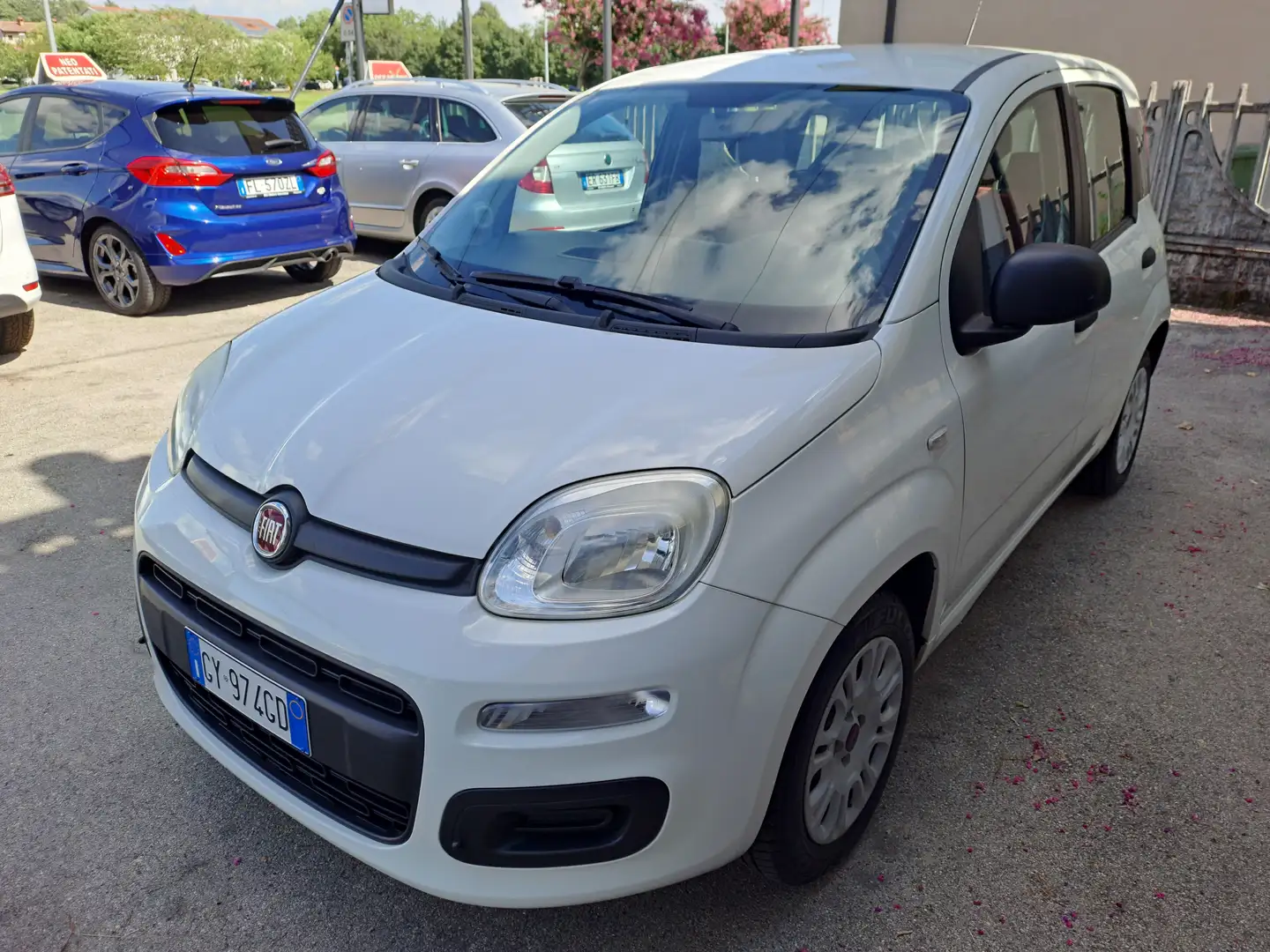 Fiat Panda Panda 1.2 Easy 69cv E6 Bianco - 1