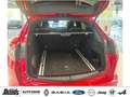 Alfa Romeo Stelvio V6 2.9 Bi-Turbo AT8-Q4 Quadrifoglio PANORAMADACH Rot - thumbnail 6