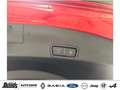 Alfa Romeo Stelvio V6 2.9 Bi-Turbo AT8-Q4 Quadrifoglio PANORAMADACH Rot - thumbnail 8