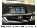 Alfa Romeo Stelvio V6 2.9 Bi-Turbo AT8-Q4 Quadrifoglio PANORAMADACH Rot - thumbnail 15