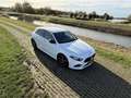 Mercedes-Benz A 200 A-Klasse  Amg Pakket 163pk 7G-DCT  Wit White - thumbnail 8