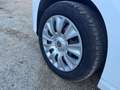 Fiat Tipo 1.6 Multijet II Business Blanco - thumbnail 12