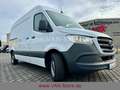 Mercedes-Benz SPRINTER 317 L2H2/AUT/MBUX/DAB/RFK/NAV/TEMP Weiß - thumbnail 10