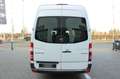 Mercedes-Benz Sprinter II Kasten 313 CDI Wit - thumbnail 12