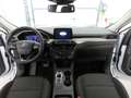 Ford Kuga 2.5 FHEV 4x4 Titanium iACC+Kamera+SHZ Bianco - thumbnail 15