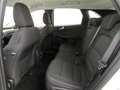 Ford Kuga 2.5 FHEV 4x4 Titanium iACC+Kamera+SHZ Bianco - thumbnail 14