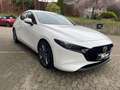 Mazda 3 SKYACTIV-G ABSOLUTE VOLLAUSSTATTUNG White - thumbnail 4