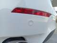 BMW X6 xDrive 30dA Blanco - thumbnail 34