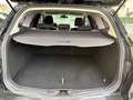 Ford Focus Turnier Champions Edition Schwarz - thumbnail 17