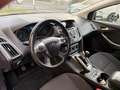 Ford Focus Turnier Champions Edition Schwarz - thumbnail 12