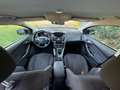 Ford Focus Titanium*2.Besitz*Spur*SHZ*Pickerl NEU 10/2027* Schwarz - thumbnail 11
