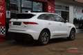 Jaguar F-Pace 2.0i4D R-Sport Aut. RWD 180 Blanc - thumbnail 8
