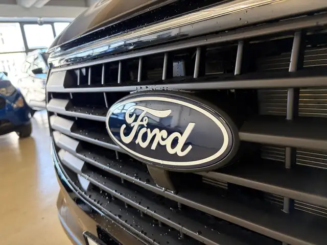 Ford Transit Custom Transit Custom Kombi Trend 320L1 2,0Eblue 136PS Ansicht 29