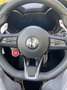 Alfa Romeo Stelvio Stelvio 2.0 Turbo 16V AT8-Q4 Veloce - thumbnail 14