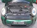 MINI Cooper 3p 1.5 Classic Premium Plus Package SOLO KM 9.900 Vert - thumbnail 15