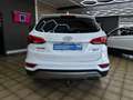 Hyundai SANTA FE blue Premium 4WD*HU/AU*PANO*AHK*MEMORY* Blanc - thumbnail 3