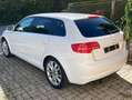 Audi A3 A3 SB 1,6 Limited Edition Edition Weiß - thumbnail 4