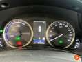 Lexus NX 300 300h Business Navigation 2WD Blanco - thumbnail 14